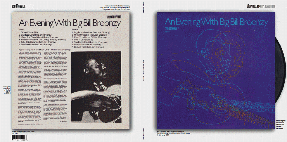 BroonzysleeveREVISED