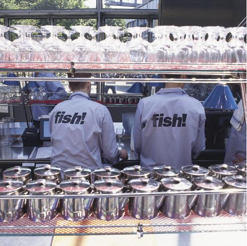 Fishinterior2