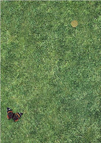 LawnPMfinal1Bfly